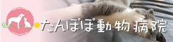 たんぽぽ動物病院 三重県松阪市の動物病院