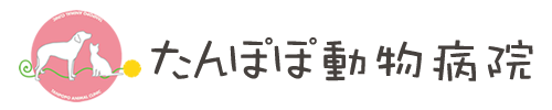 三重県松阪市たんぽぽ動物病院