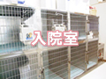 入院室