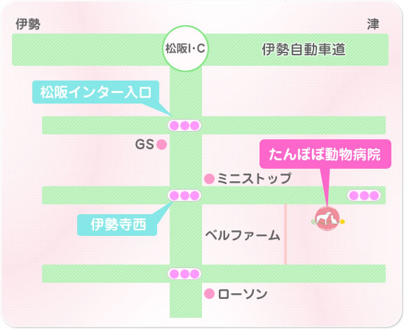 たんぽぽ動物病院　三重県松阪市小阿坂町　所在地図