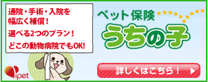 ペット保険・動物保険はアイペット